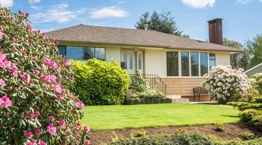Average family house with rhododendron flowers in front on cloudy sky background